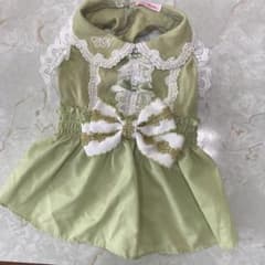 きゃんナナのサムネイル