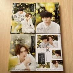 美しい彼 小説のサムネイル