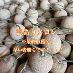 長崎県島原産 温室高級メロン(２玉)のサムネイル