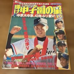 輝け甲子園の星　2009年　第91回全国高校野球選手権大会のサムネイル