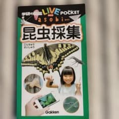 学研の図鑑LIVEポケット　昆虫採集のサムネイル