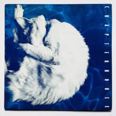 貴重 UKオリジナル盤 レコード Chapterhouse Whirlpool m26429652569_1.jpg?1753857430