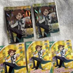 アイドルマスター　カードフォリオ iwsf 橘 志狼のサムネイル