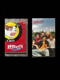 DVD 木更津キャッツアイ シリーズ2本セット - メルカリ