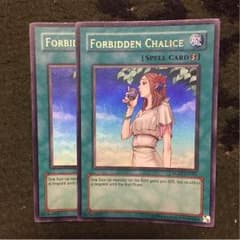 禁じられた聖杯 英語のサムネイル