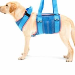 ララウォーク　大型犬　Sのサムネイル