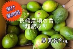 120 果汁・果肉用　長崎産璃の香　超訳あり国産グリーンレモン　果実約９kgのサムネイル