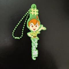 【yomogi様専用】 #ハッシュタグつける ディズニー2 ピーターパンのサムネイル
