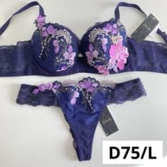 02034　サルート　ワコール　新品　ブラD75/ショーツL 02034 サルート ワコール 新品 ブラD75/ショーツL 【公式通販】