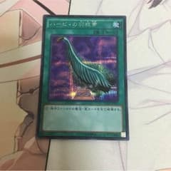 ハーピィの羽根帚シークレットのサムネイル