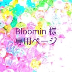 Bloomin様専用ページのサムネイル