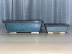 盆栽鉢　万光のサムネイル