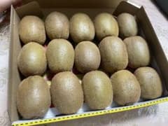 キウイフルーツ　大ぶりのもののサムネイル