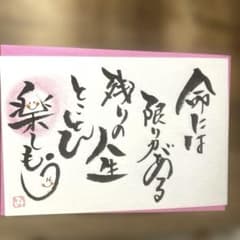 TonTon様 リクエスト 2点 まとめ商品 - メルカリ