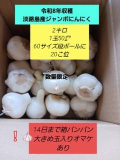 ①令和8年淡路島産ジャンボにんにく　2kg　1玉小さめ50㌘～　箱に20玉位のサムネイル