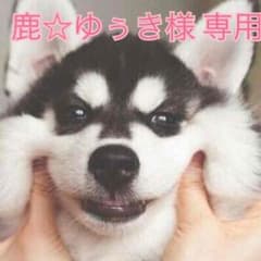 鹿☆ゆぅき様 専用のサムネイル