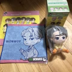 セブチ　一番くじ　ウォヌのサムネイル