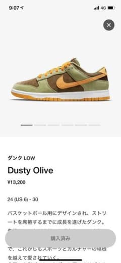 NIKE dunk dustyのサムネイル