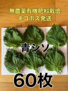 無農薬栽培】青しそ 60枚 ネコポス発送 - メルカリ