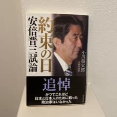 約束の日 : 安倍晋三試論のサムネイル