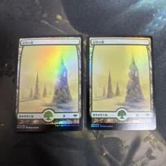 FOIL2枚】MH1 冠雪の森/Snow-Covered Forest MTG - メルカリ