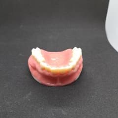 歯科用 口腔外科実習 NISSIN 歯科模型 P15-OOP.1 - メルカリ