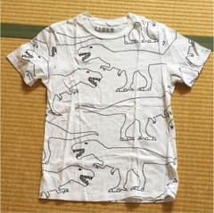 ティシャツ  恐竜のサムネイル
