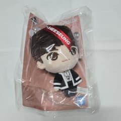 이치 반 쿠지 enhypen HEESEUNG 히슨 봉제 인형