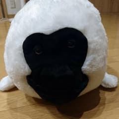 顔ゴリラぬいぐるみのサムネイル
