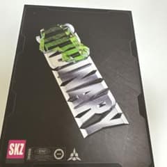 Stray Kids ORDINARY MANIACバージョンのサムネイル