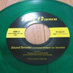 ジャパレゲ レコード Sound Terrorist / NANJA MANのサムネイル