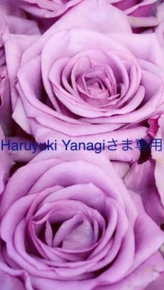 Haruyuki Yanagiさま専用のサムネイル