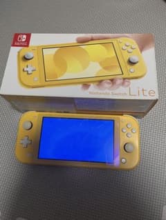 Nintendo Switch Lite 本体 ジャンク品 外箱付き - メルカリ