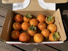 新鮮　無農薬　自然栽培　小粒甘柿のサムネイル