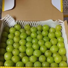 ⑫　訳ありシャインマスカット 粒　800gのサムネイル