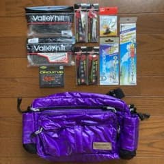 タックル整理　陸っぱりヘビキャロセットのサムネイル