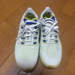 Nike Air Zoom Pegasus 37のサムネイル