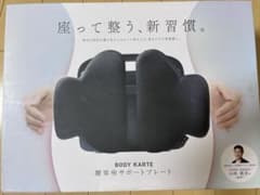 BODY KARTE 腰楽座サポートプレート 姿勢矯正のサムネイル