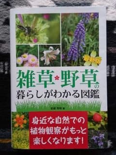 雑草・野草の暮らしがわかる図鑑 岩槻秀明 著のサムネイル