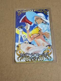 fgo ac 아케이드 페이탈 칼데아 라이프 세이버스