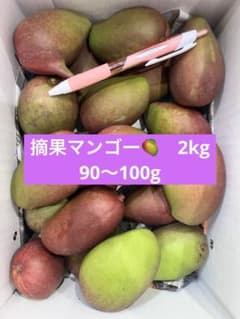 摘果マンゴー 2kg【農家直送】 - メルカリ