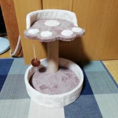 キャットタワーのサムネイル