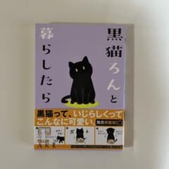 黒猫ろんと暮らしたら AKRのサムネイル