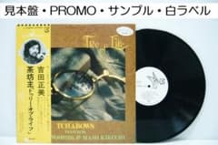 見本盤 白ラベル 吉田正美と茶坊主 菊池まみ トゥリー・オブ・ライフ