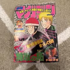 週刊少年マガジン 1992年 No.13 特攻の拓のサムネイル