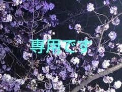 専用ページのサムネイル
