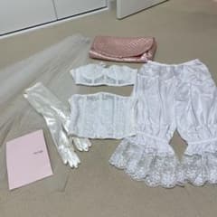 ウェディング　ドレスインナーセット　ベール付きのサムネイル