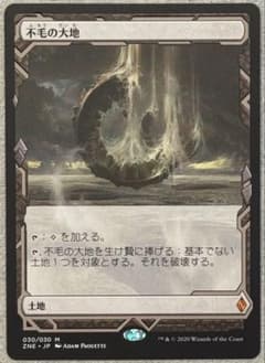 不毛の大地/Wasteland】日本語版 - メルカリ