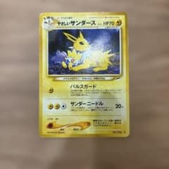 やさしいサンダース ◇ 拡張パック第4弾 闇、そして光へ… - メルカリ