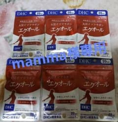 DHC 20日分 大豆イソフラボン エクオール×6袋のサムネイル
